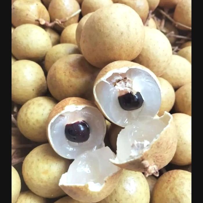 Gambar Lengkeng Bangkok Grade A dari Fresh Fruit YY Bdg undefined Tokopedia
