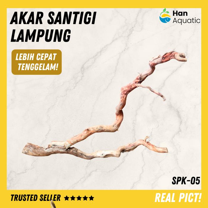 Gambar Akar Kayu Santigi Lampung Size Jumbo Hiasan Aquarium Aquacape SPK-05 dari Han Aquatic_NEW undefined Tokopedia