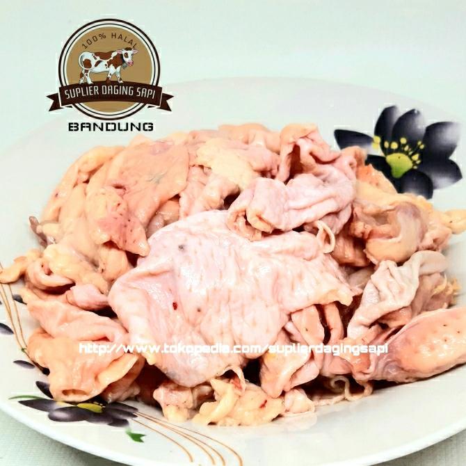 Gambar KULIT AYAM SEGAR 1kg dari Suplier Daging Sapi Bandung undefined Tokopedia