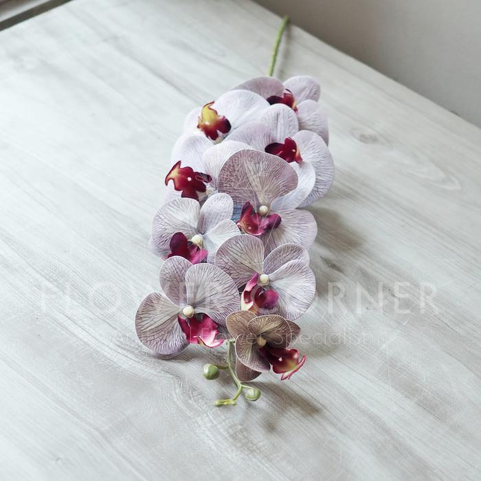 Gambar Bunga Artificial Anggrek Phalaenopsis Semi Latex Bold Colors (B23213) - Garis Ungu dari FlowerCornerID undefined Tokopedia