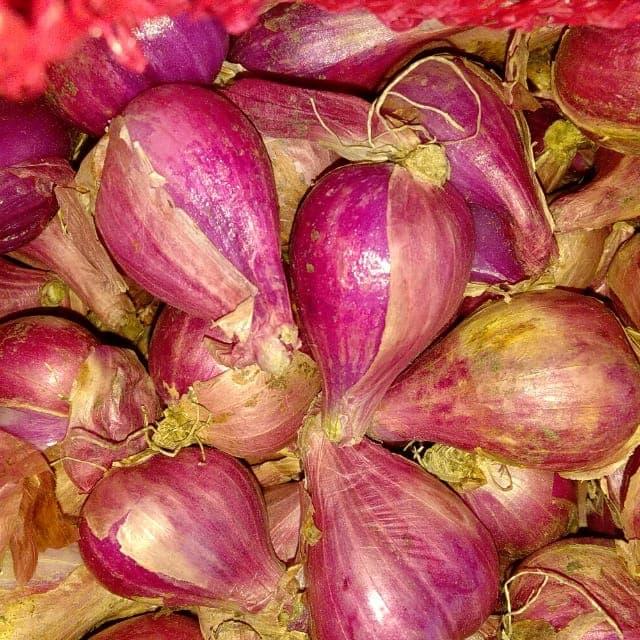Gambar bawang brebes super 1kg - Brebes super dari Bandar Grosir Tangerang undefined Tokopedia
