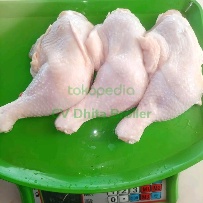 Gambar Paha Ayam Segar 1/2 kg - Paha Ayam Fresh setengah Kilo Halal Murah dari CV Dhita Broiler undefined Tokopedia