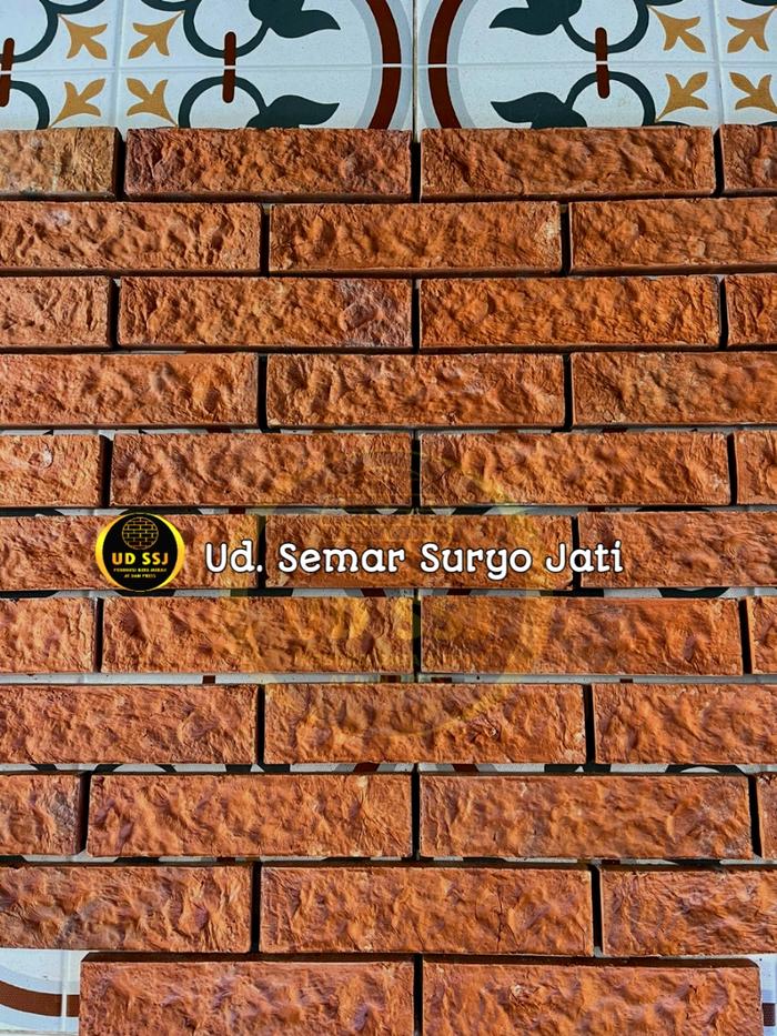 Gambar SSJ Terakota Jenis Serabut Kelapa dengan Design Unik Untuk Dinding Interior dan Eksterior Rumah - NATURAL dari UD.SSJ undefined Tokopedia