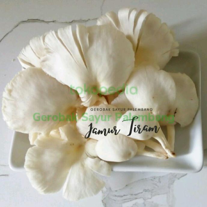 Gambar Jamur Tiram dari Gerobak Sayur undefined Tokopedia