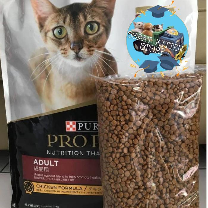 Makanan Kucing Proplan Pro Plan Junior Cat Food Pro Plan Salmon