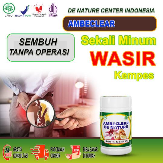 Gambar Obat Wasir Ambeien Stadium 4 Paling Ampuh di Apotik Ambeclear Salwa - AMBECLEAR dari DE NATURE CENTER INDONESIA. undefined Tokopedia