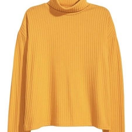 Jual HNM YELLOW MUSTARD RIBBED KNIT SWEATER TURTLENECK CROP TOP