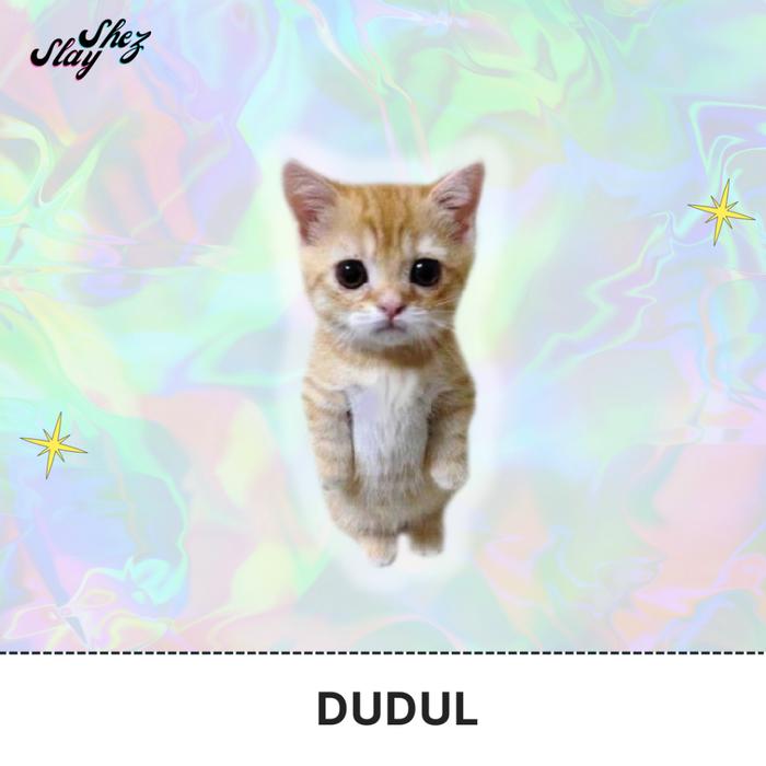 Gambar PISANG NANGIS MAXWELL KEYCHAIN [DUA SISI] GANTUNGAN KUNCI AKRILIK - Dudul dari ematok undefined Tokopedia
