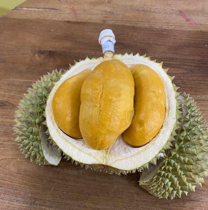Gambar Buah Durian Black Thorn Sultan Malaysia 1KG, 2KG,3KG Fresh Import - 2.4KG dari CoffeeCago undefined Tokopedia