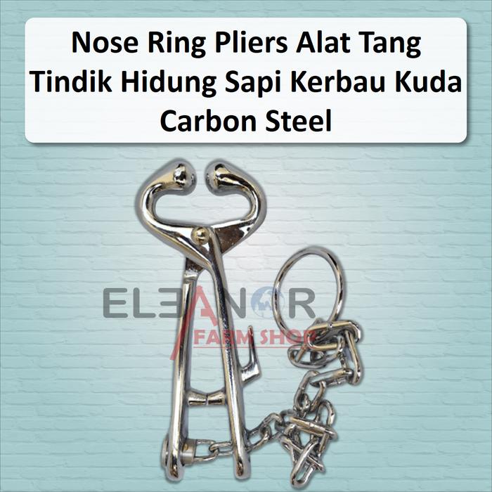 Gambar Nose Ring Pliers Alat Tang Tindik Hidung Sapi Kerbau Kuda Carbon Steel dari ELEANOR FARM STORE undefined Tokopedia