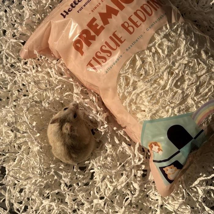 Gambar Premium Tissue Bedding / Tissue Bedding Hamster By Hellosyrian - Snow White dari egamera undefined 3 Tokopedia