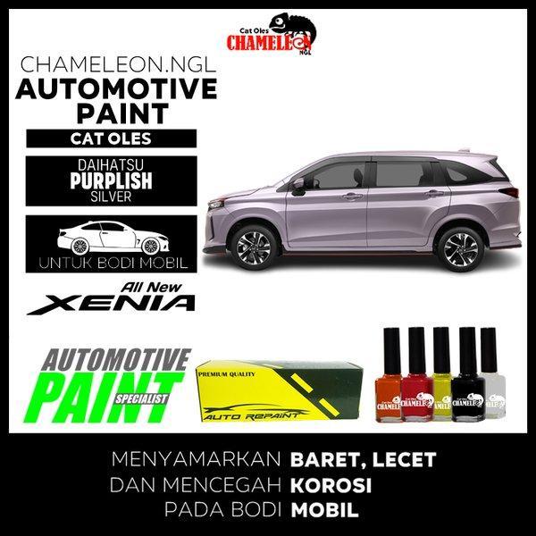 Gambar Cat Oles Daihatsu All New Xenia Purplish Silver Automotive Paint dari hinaendah undefined Tokopedia