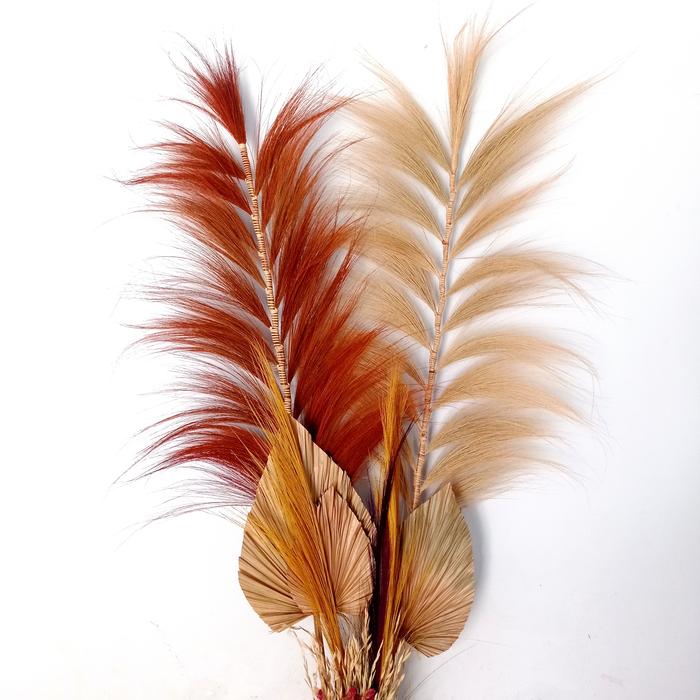 Gambar Paket bunga kering dekorasi sudut ruangan dan vas rotan 80cm - bunga saja dari sarang kupu kupu dried flowers undefined Tokopedia