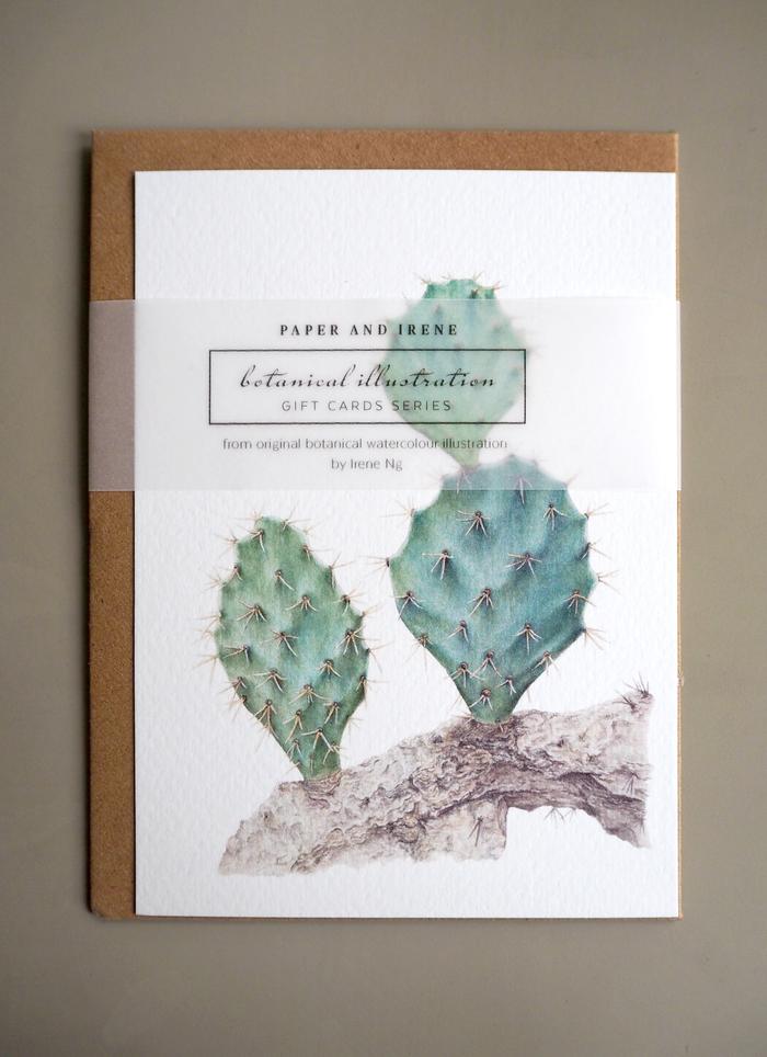 Gambar Paperandirene Botanical Gift Cards - Opuntia robusta dari Cottoncat Home undefined Tokopedia