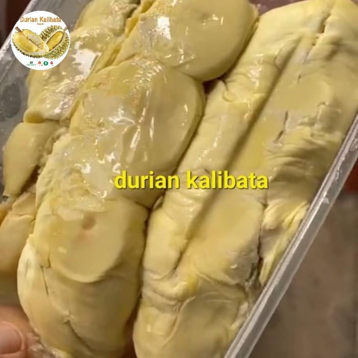Gambar durian kupas Medan Sumatera mini premium dari durian kalibata undefined Tokopedia