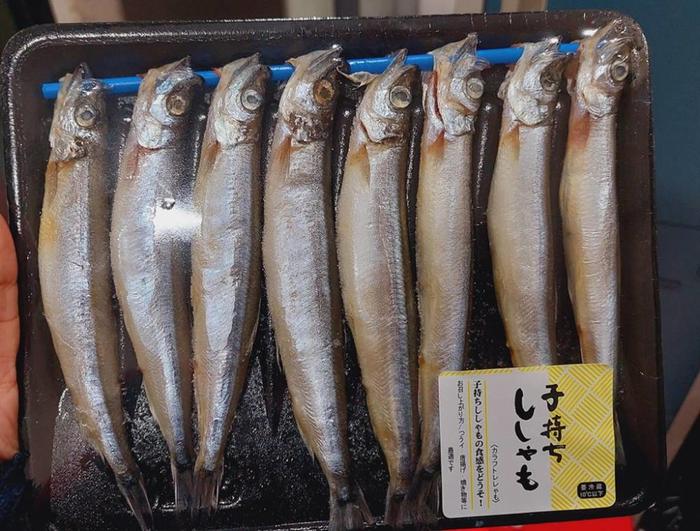 Gambar Ikan Shisamo isi 8 Ikan Cipung Per Pack, Ready Stock Delivery Jogja dari Hayaaolshop Tokopedia undefined Tokopedia