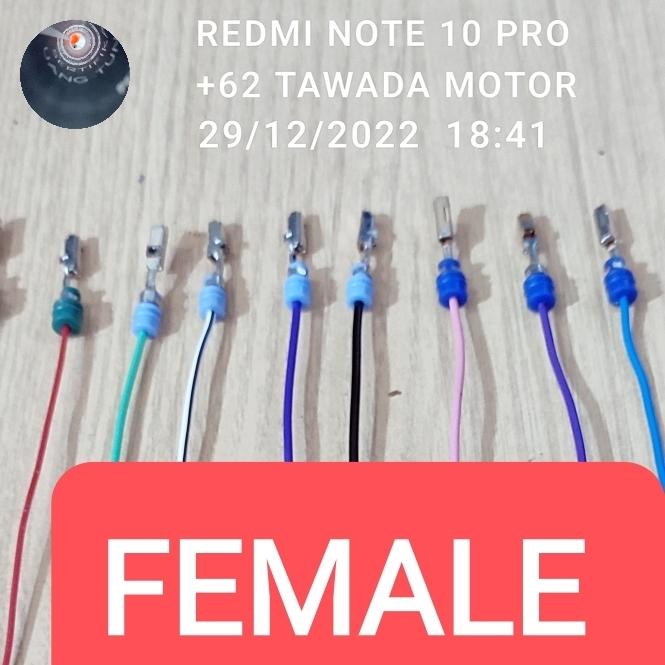 Gambar SKUN SEKUN PIN TERMINAL SOKET COIL KOIL BUSI EXPANDER MIRAGE GRANDIS - FEMALE dari TAWADA MOTOR undefined Tokopedia