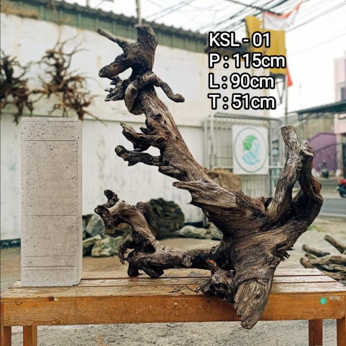 Gambar HIASAN KOLAM PALUDARIUM TERARIUM | KAYU HARDSCAPE SANTIGI JUMBO - KSL-03 dari Draquatic Karang Tengah undefined 5 Tokopedia
