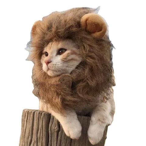 Gambar Pet Kostum Lion Wig Topi Anjing Kucing - S dari Elora Pet Care undefined Tokopedia