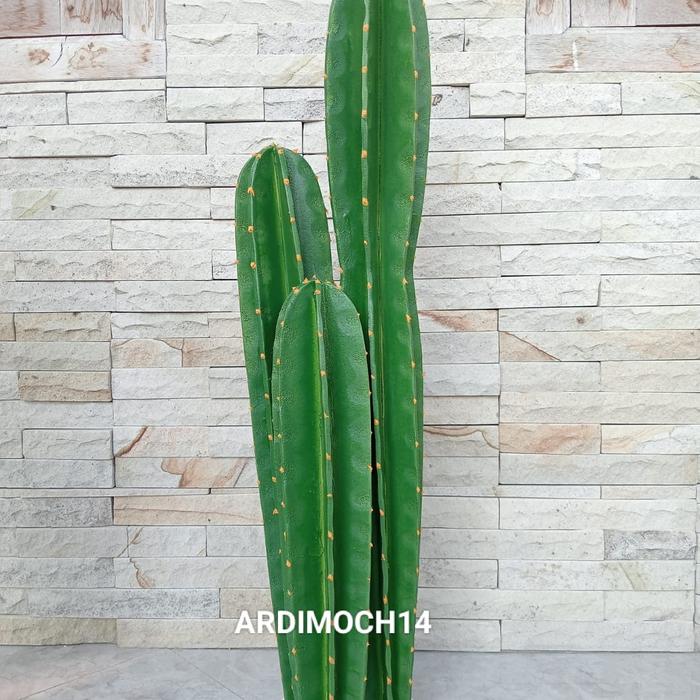 Gambar Kaktus artificial jumbo Murah // kaktus hias // kaktus bintang - Pakai TATAKAN dari Ardimoch14 undefined Tokopedia