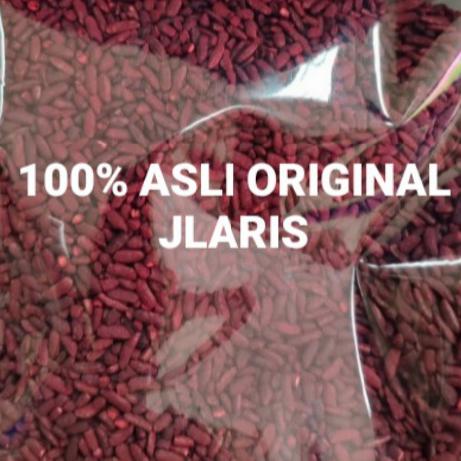 Gambar Angkak Premium 100 gram / Angkak Merah / Hong Mi - Untuk DBD dari JLaris undefined Tokopedia