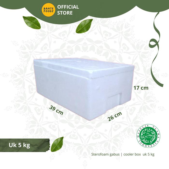 Gambar Box Stereofoam Gabus Styrofoam Busa Sterofoam Kotak Es Besar Tebal - 5KG dari Bante Foodz Official Store undefined Tokopedia