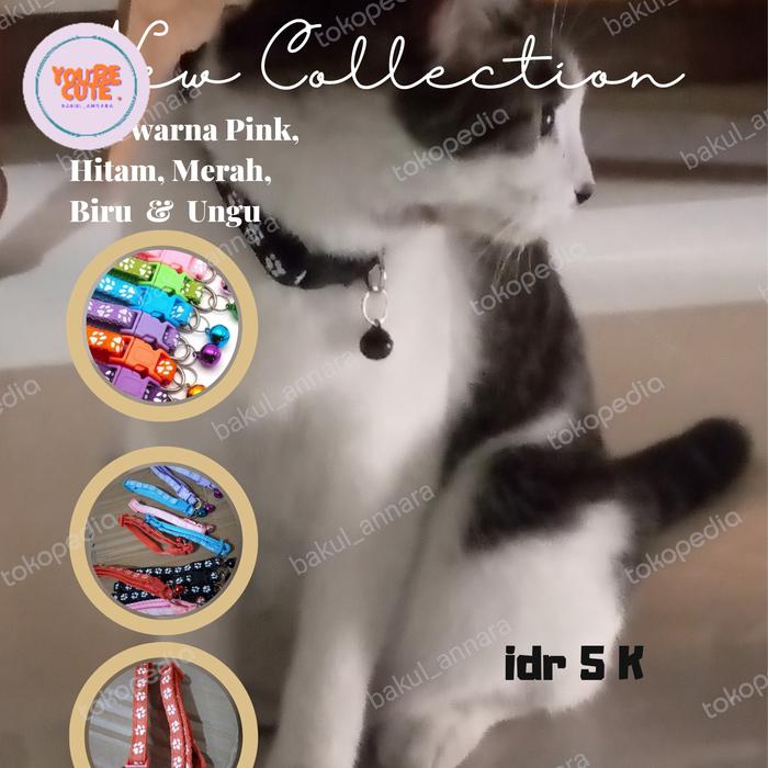Gambar kalung kucing lonceng dari bakul_annara undefined Tokopedia