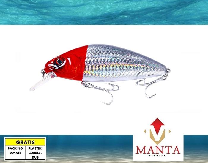 Gambar Minnow slow sinking lure fishing bait laut dan danau 9,5cm 15gram - #1 dari MantaFishing undefined Tokopedia