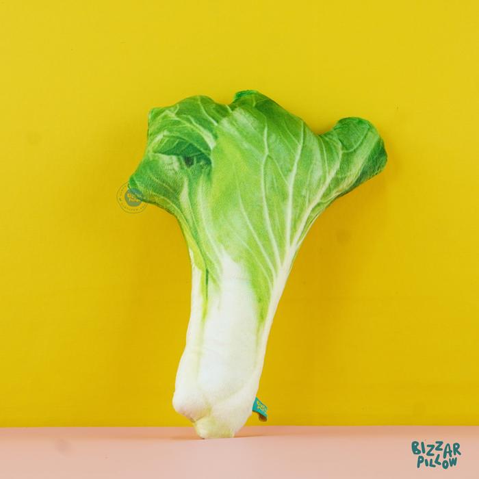 Gambar Bantal Sayur Sayuran Size S - Pakcoy dari Bizzarpillow undefined Tokopedia