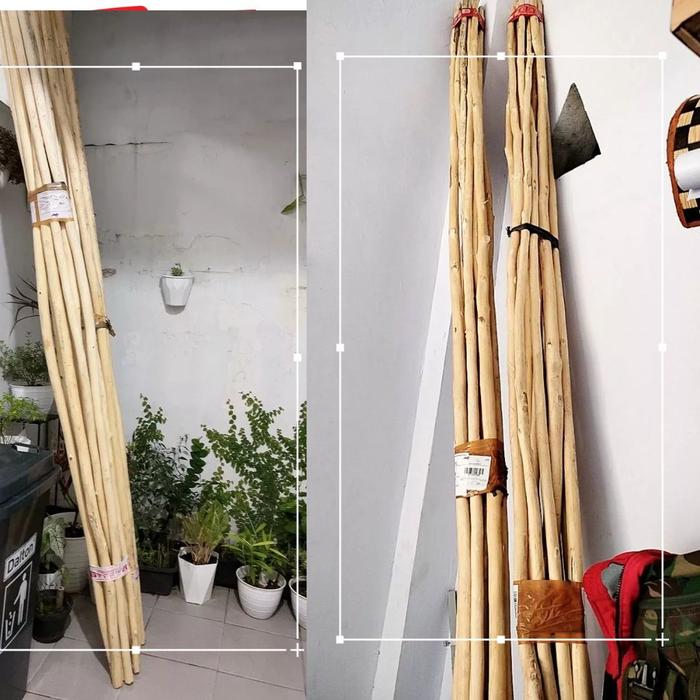 Gambar Ranting Pohon Jati Kayu Ranting Dekorasi panjang 100-200 cm - panajng 3 meter dari Alberoid Official undefined Tokopedia