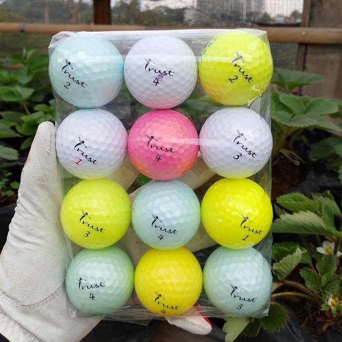 Gambar Paket 12 pc Bola Golf Trust Aurora Icy Blue, Bison X & Phanter Grade A - mixed dari JayaGolf09 undefined Tokopedia