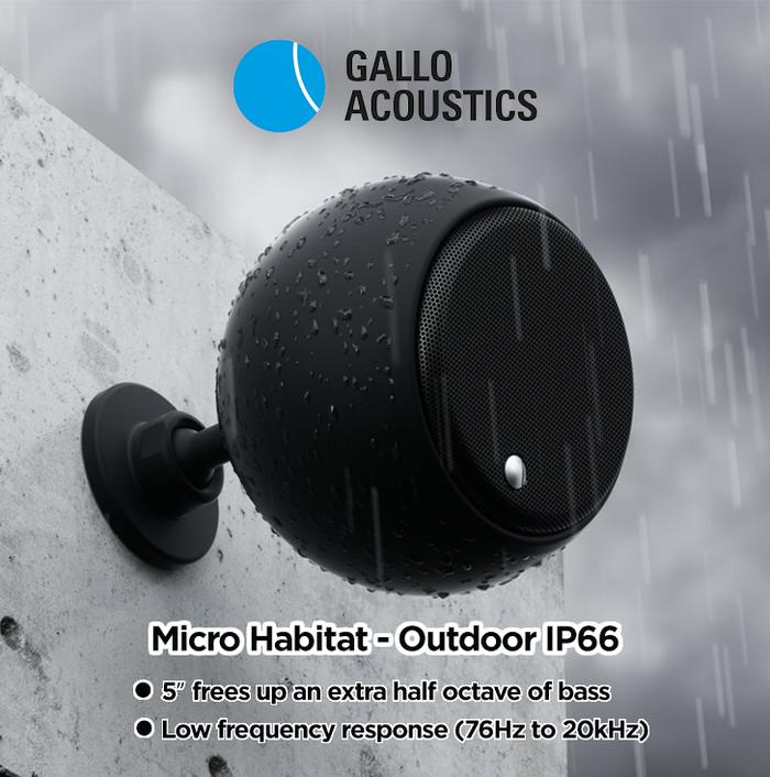 Gallo Acoustics Micro purchase SE top