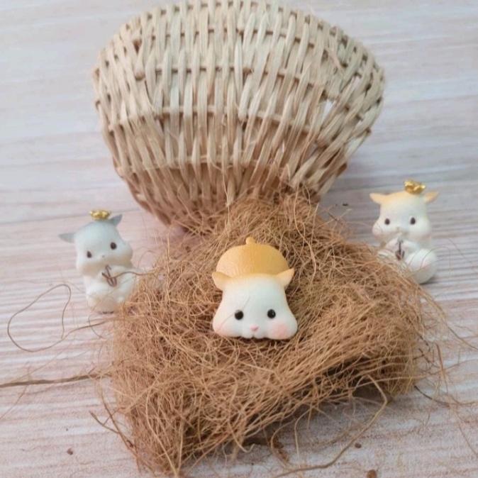 Gambar Sarang Burung Cocofiber Bedding 100g Sarang Hamster/Burung Serat dari SOVERNIRSTORE undefined Tokopedia