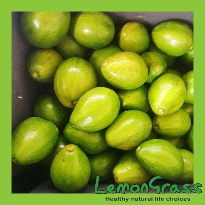 Gambar Alpukat Mentega Singaraja Bali per Kg  Kirim Instan dari Lemon-Grass undefined Tokopedia