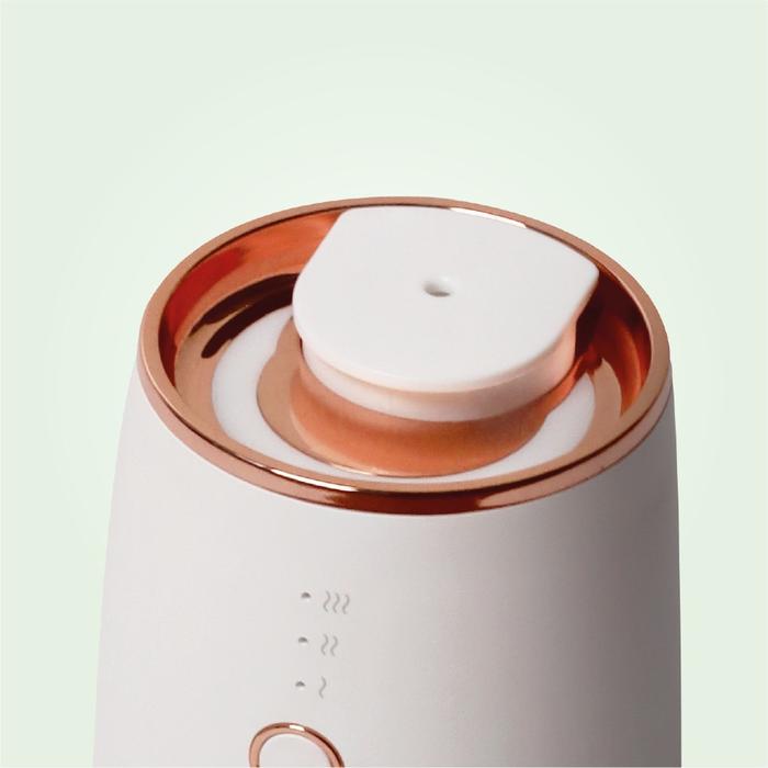 Gambar BloomAire FLUTE Fragrance Diffuser - Package 25ml Oil - White Rose Gold, 01 AF & BE dari BloomAire Fragrance Diffuser undefined Tokopedia