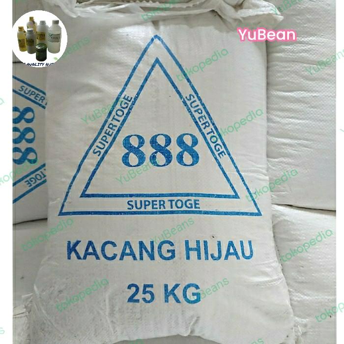 Gambar KACANG HIJAU SUPER TOGE 888 (SIOUCI) TAUGE Per Kg dari YuBean undefined Tokopedia