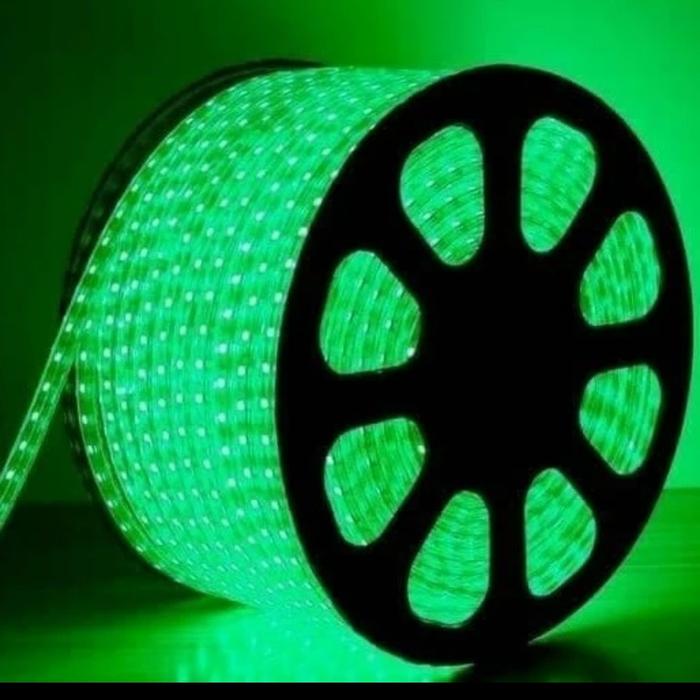 Gambar Lampu led strip selang 2835 3528 100m led drop ceiling plafon 100 mtr - Hijau, 60 LED / METER dari wewe electric undefined Tokopedia