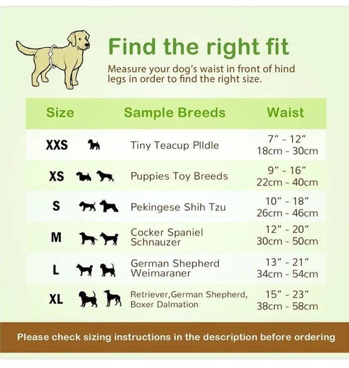 Gambar Popok Pampers Anjing Male Female Pet Soft Dog Diaper Jantan Betina - Female XS dari Petz Palace undefined Tokopedia