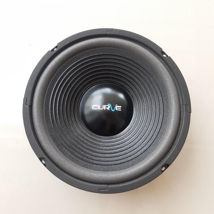 Gambar SPEAKER 10 INCH WOOFER CURVE 300 WATT dari MIK MIC MICROPHONE undefined Tokopedia