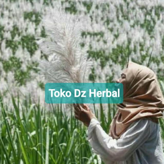 Gambar Bunga tebu gajah bunga glagah hiasan dinding perikat dari Toko Dz Herbal undefined Tokopedia