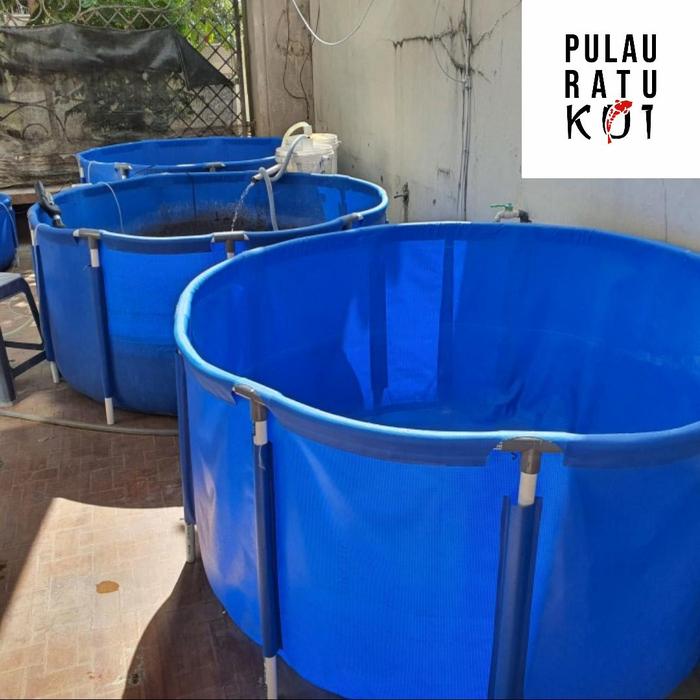 Gambar Kolam VAT Karantina Ikan Koi size M D150 T80| Pulau Ratu Koi | Medium Full Set PVC Kokoh & Terpaulin ORCHID Semi Karet Hemat Ruang dari Pulau Ratu Koi undefined Tokopedia