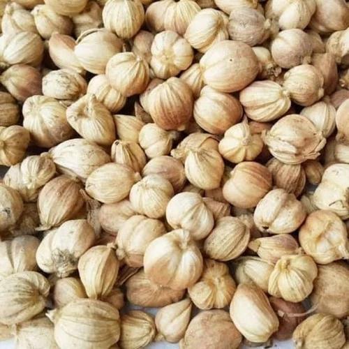 Gambar Kapulaga kering 10 gram dari TianataStore undefined Tokopedia