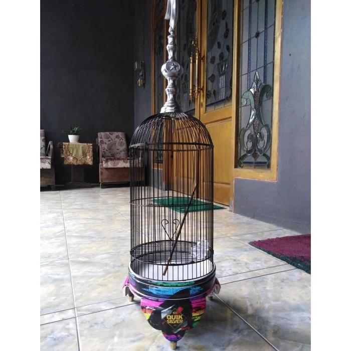 Gambar SANGKAR HELOPET PLECI - Quik silver dari Sapphirastore undefined Tokopedia