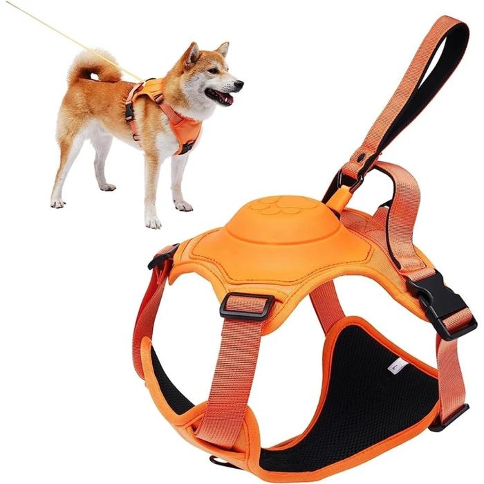 Gambar tali tuntun anjing otomatis automatic adjustable dog harness collar auto lock retractable - size M dari acosonic undefined Tokopedia