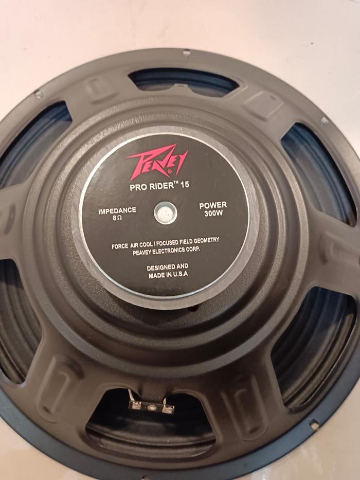 Gambar SPEAKER PEAVEY PRO RIDER 15 INCH 300 WAT dari indo elektronikk undefined Tokopedia