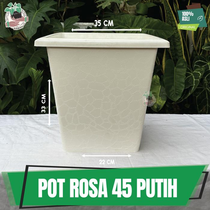 Gambar Pot Bunga Kotak Putih Besar 40 Rosa Pot Taman Tanaman Hias Buah Kuat - 45 PUTIH dari Beri benih undefined Tokopedia