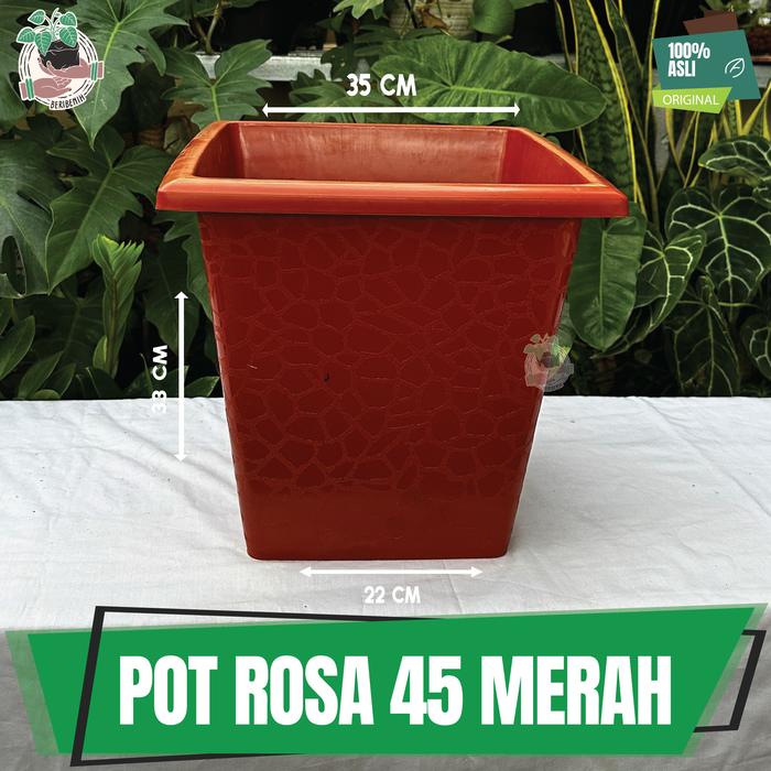 Gambar Pot Bunga Kotak Putih Besar 40 Rosa Pot Taman Tanaman Hias Buah Kuat - 45 MERAH dari Beri benih undefined Tokopedia