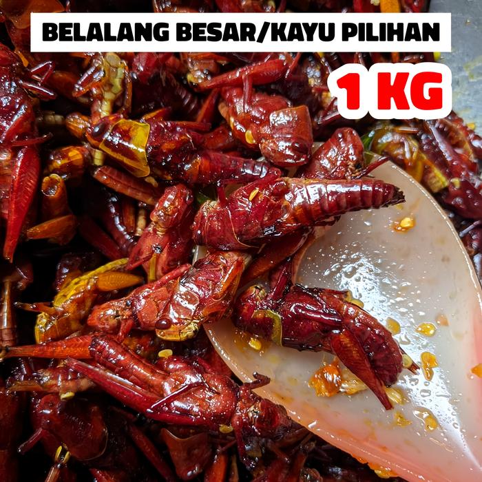 Gambar BELALANG GORENG 1 KG - Original dari Walang Goreng Handayani undefined Tokopedia