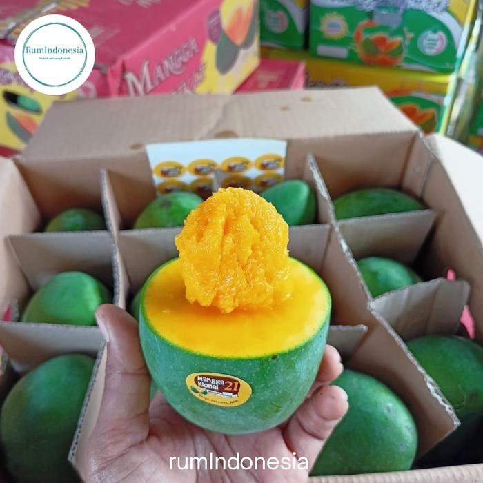 Gambar mangga alpukat 5kg mangga alpukat 1 dus 5 kg - 14-16 dari rumindonesia undefined Tokopedia