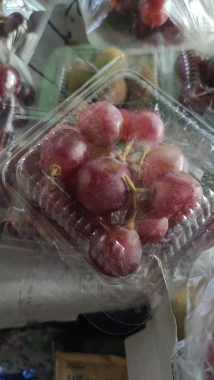 Gambar Buah anggur dengan packing kotak mika dan stereofoam - mika dari Budgedz undefined Tokopedia